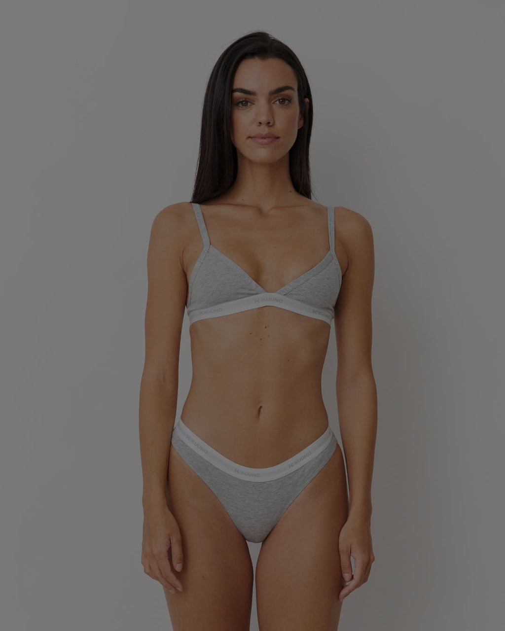 Everyday Classic Brief Light Grey